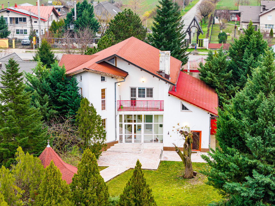 Vila familiei unite, pentru momente împreună, Snagov - Ciofliceni