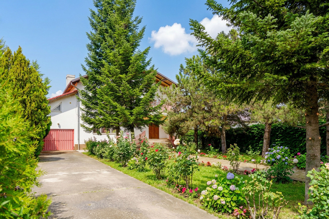 Vila familiei unite, pentru momente împreună, Snagov - Ciofliceni