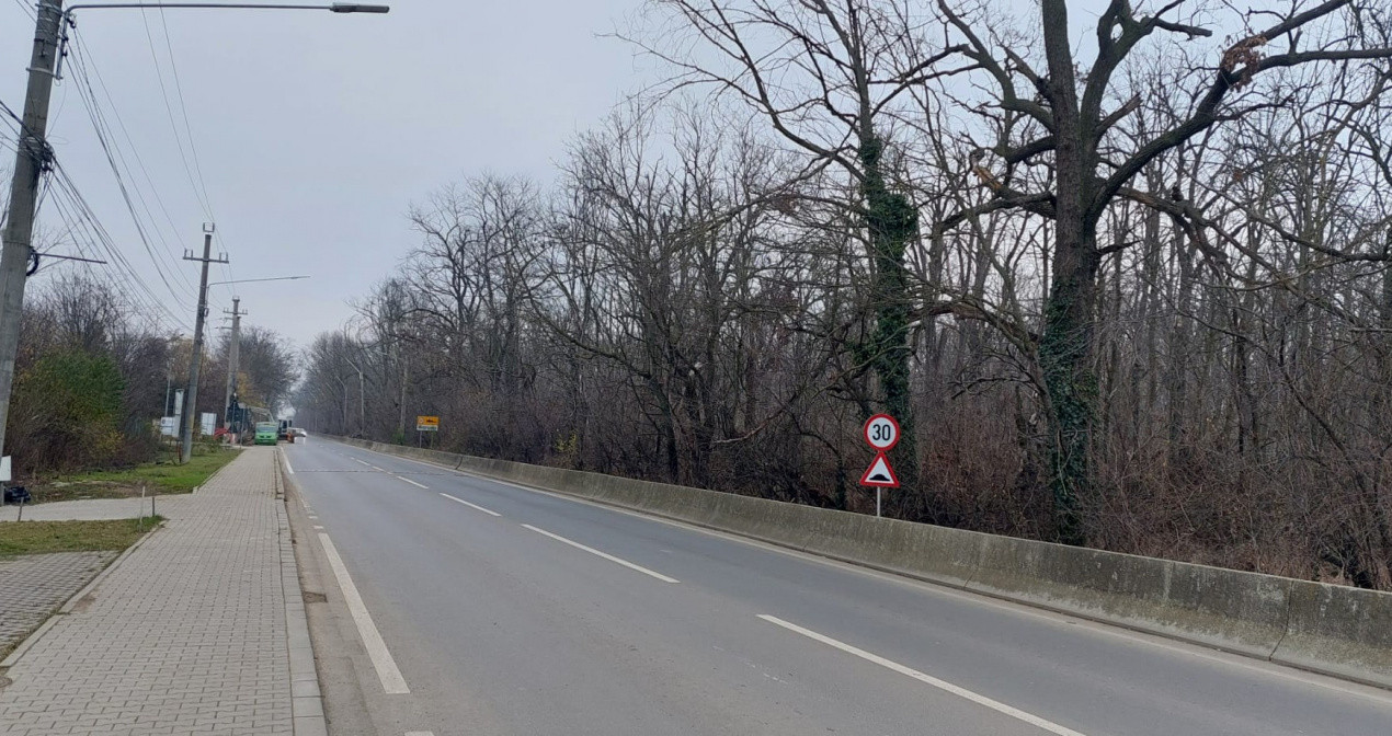 Teren de vânzare – 1000 mp în Mogoșoaia, zonă ideală pentru locuință					