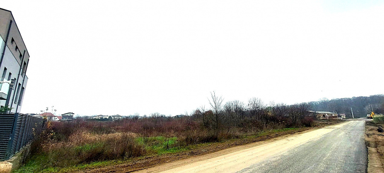 Teren de vânzare – 1000 mp în Mogoșoaia, zonă ideală pentru locuință					