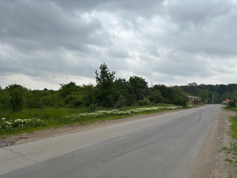 Terenul dintre 2 lacuri – 1000 mp în Mogoșoaia, la 5 minute de pădure