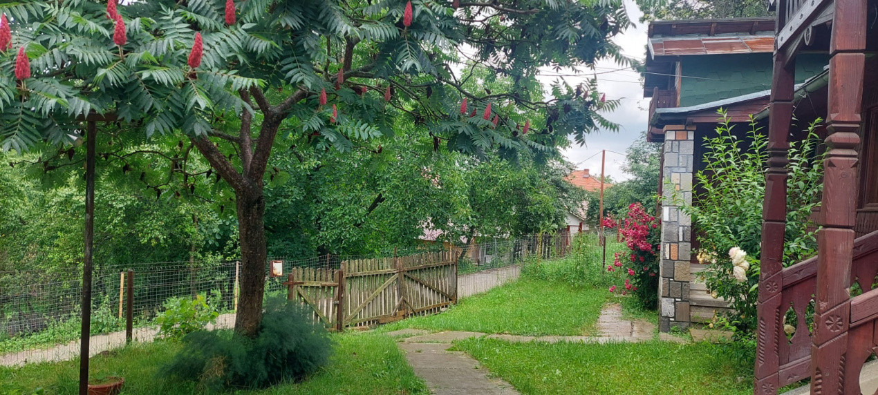 Casa gospodarului, înconjurată de natură, Comarnic