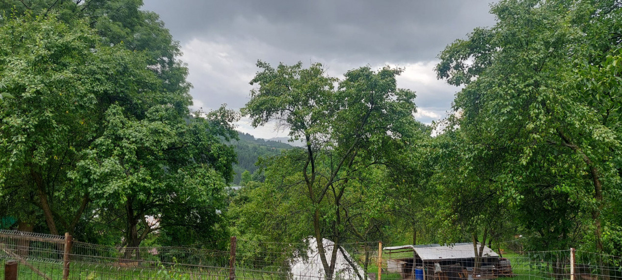 Casa gospodarului, înconjurată de natură, Comarnic