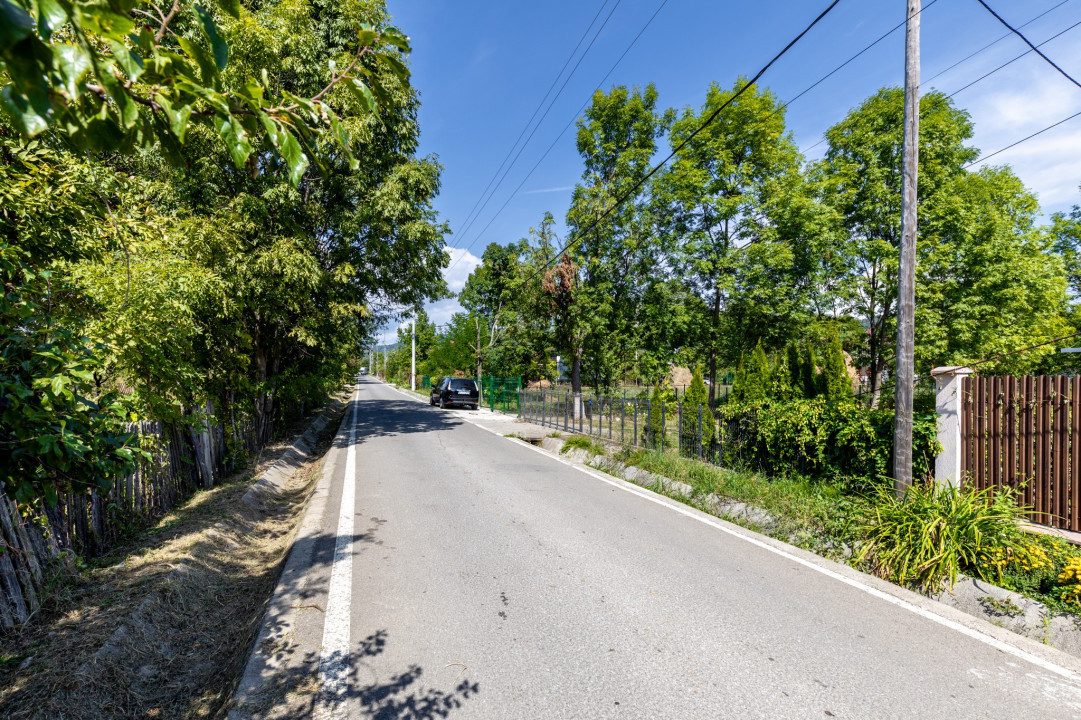 Casa prieteniei, bucuria amintirilor de neuitat