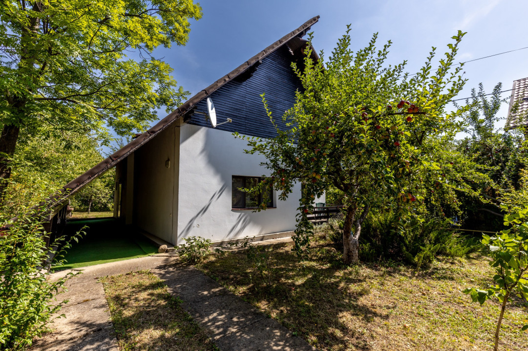 Casa prieteniei, bucuria amintirilor de neuitat